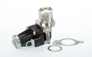 AGR-Ventil BorgWarner 710947D