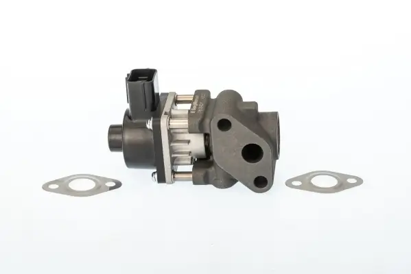 AGR-Ventil BorgWarner 711024D