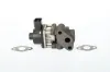 AGR-Ventil BorgWarner 711024D