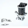 AGR-Ventil BorgWarner 711028D/1