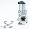 AGR-Ventil BorgWarner 711031D