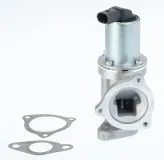 AGR-Ventil BorgWarner 711031D