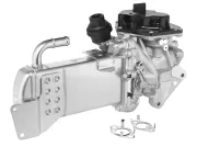 AGR-Modul BorgWarner 712003D