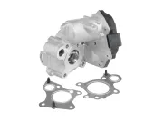 AGR-Ventil BorgWarner 712019D