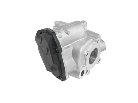 AGR-Ventil BorgWarner 712019D Bild AGR-Ventil BorgWarner 712019D
