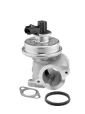 AGR-Ventil BorgWarner 712064D