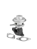 AGR-Ventil BorgWarner 712069D