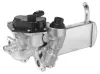AGR-Modul BorgWarner 712085D Bild AGR-Modul BorgWarner 712085D