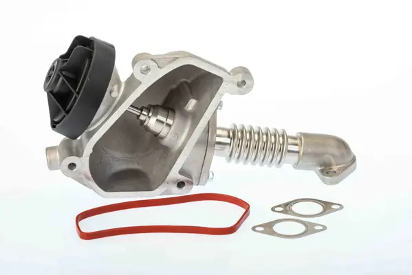 AGR-Ventil BorgWarner 7206D