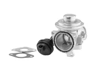 AGR-Ventil BorgWarner 7241D
