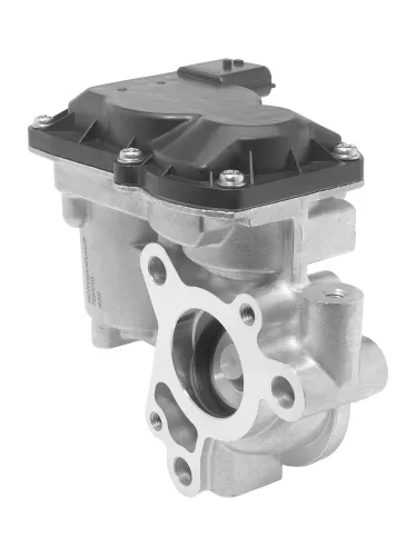AGR-Ventil BorgWarner 729001D Bild AGR-Ventil BorgWarner 729001D