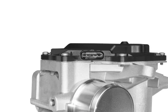 AGR-Ventil BorgWarner 729002D Bild AGR-Ventil BorgWarner 729002D