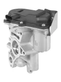 AGR-Ventil BorgWarner 729003D