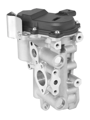 AGR-Ventil BorgWarner 729003D Bild AGR-Ventil BorgWarner 729003D