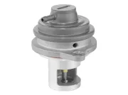 AGR-Ventil BorgWarner 729007D