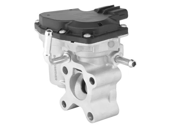 AGR-Ventil BorgWarner 729008D Bild AGR-Ventil BorgWarner 729008D