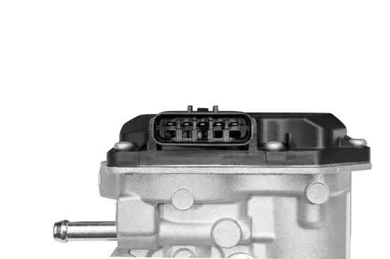 AGR-Ventil BorgWarner 729008D Bild AGR-Ventil BorgWarner 729008D