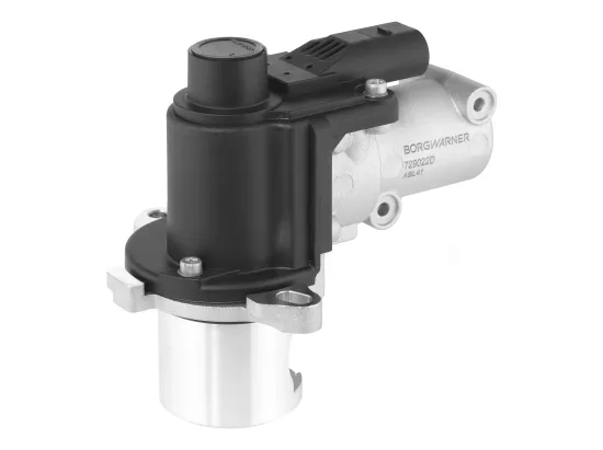 AGR-Ventil BorgWarner 729022D Bild AGR-Ventil BorgWarner 729022D