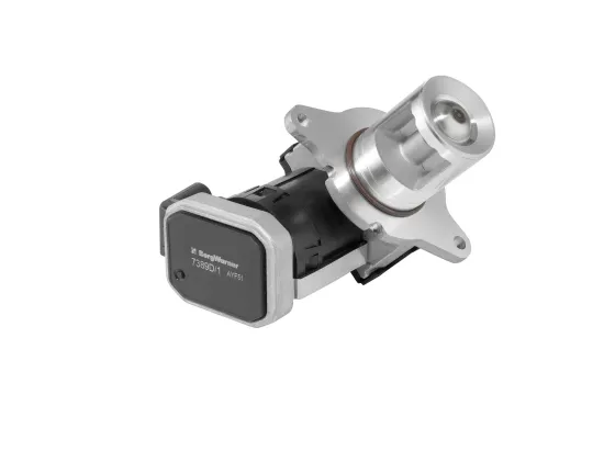 AGR-Ventil BorgWarner 7389D/1 Bild AGR-Ventil BorgWarner 7389D/1