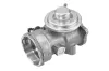 AGR-Ventil BorgWarner 7451D
