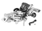 AGR-Modul BorgWarner 792004D0