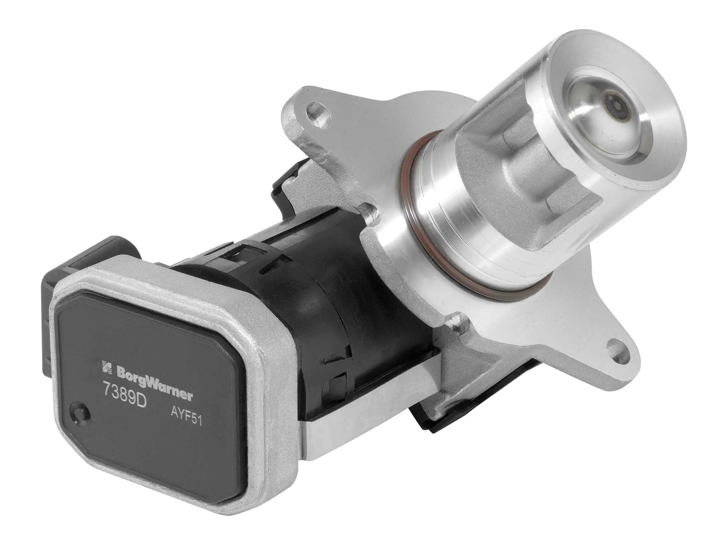 AGR-Ventil BorgWarner 7389D