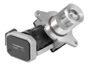 AGR-Ventil BorgWarner 7389D