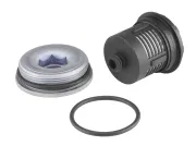 Hydraulikfilter, Lamellenkupplung (Allradantrieb) Hinterachse BorgWarner DS120456