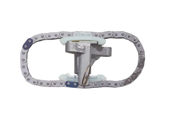 Steuerkettensatz BorgWarner 59007150011 Bild Steuerkettensatz BorgWarner 59007150011