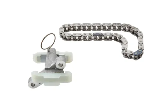 Steuerkettensatz BorgWarner 59007150011 Bild Steuerkettensatz BorgWarner 59007150011