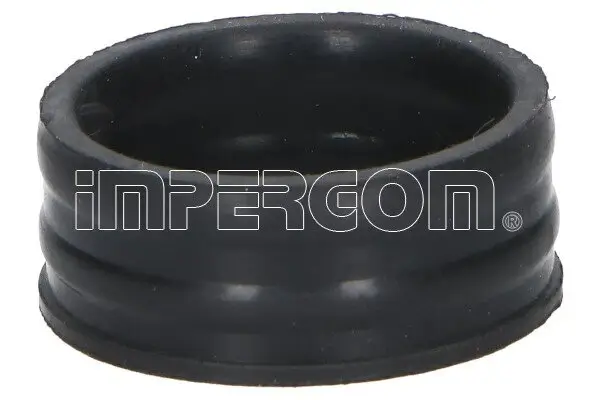 Dichtung, Wasserpumpe ORIGINAL IMPERIUM 230407