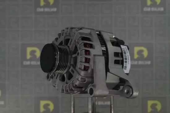 Generator 12 V DA SILVA 012045 Bild Generator 12 V DA SILVA 012045