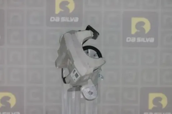 Bremssattel hinter der Achse Hinterachse links DA SILVA ET9447 Bild Bremssattel hinter der Achse Hinterachse links DA SILVA ET9447