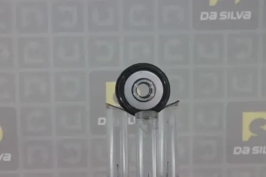 Generatorfreilauf DA SILVA PRL004 Bild Generatorfreilauf DA SILVA PRL004