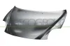 Motorhaube PRASCO AA2103100