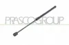 Gasfeder, Koffer-/Laderaum beidseitig PRASCO AA3409055