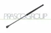Gasfeder, Koffer-/Laderaum beidseitig PRASCO AD0169055