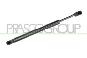 Gasfeder, Koffer-/Laderaum hinten links hinten rechts PRASCO AD0229065