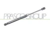 Gasfeder, Koffer-/Laderaum hinten links hinten rechts PRASCO AD0249055