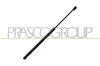 Gasfeder, Koffer-/Laderaum hinten links hinten rechts PRASCO AD0249075