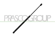 Gasfeder, Koffer-/Laderaum hinten links hinten rechts PRASCO AD0249075