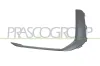 Zier-/Schutzleiste, Sto&szlig;f&auml;nger vorne links PRASCO AD0441224