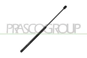 Gasfeder, Koffer-/Laderaum hinten links hinten rechts PRASCO AD1209055
