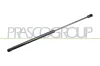 Gasfeder, Koffer-/Laderaum hinten links hinten rechts PRASCO AD3209055