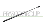 Gasfeder, Koffer-/Laderaum hinten links hinten rechts PRASCO AD3209055