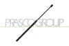 Gasfeder, Koffer-/Laderaum hinten links hinten rechts PRASCO AD3209065