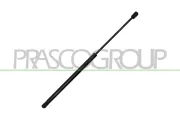 Gasfeder, Koffer-/Laderaum hinten links hinten rechts PRASCO AD3209065