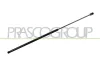 Gasfeder, Motorhaube rechts PRASCO AD8109003