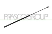 Gasfeder, Motorhaube rechts PRASCO AD8109003