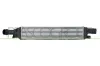 Ladeluftkühler PRASCO AD810N001